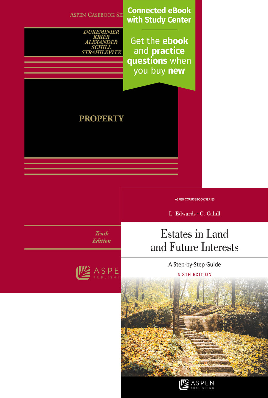 Bundle: Property, Tenth Edition and Estates in Land and Future Interests: A Step-by-Step Guide, Sixth Edition